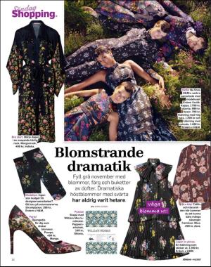 sondag-20171112_000_00_00_010.pdf