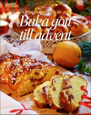 sondag-20171119_000_00_00_068.pdf