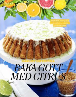 sondag-20180107_000_00_00_068.pdf