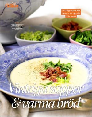 sondag-20180128_000_00_00_066.pdf