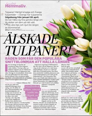 sondag-20180218_000_00_00_062.pdf