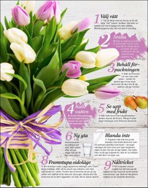 sondag-20180218_000_00_00_063.pdf