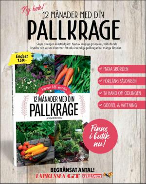 sondag-20180304_000_00_00_040.pdf