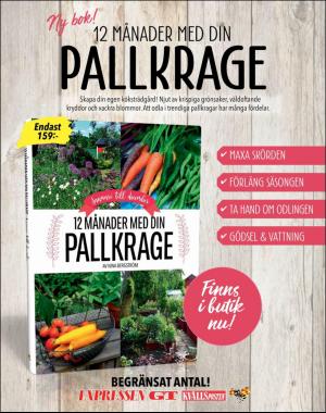 sondag-20180311_000_00_00_075.pdf