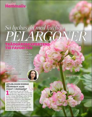 sondag-20180318_000_00_00_062.pdf