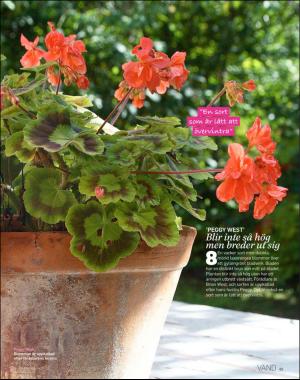 sondag-20180318_000_00_00_065.pdf