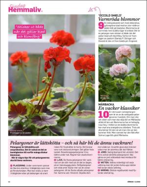 sondag-20180318_000_00_00_066.pdf