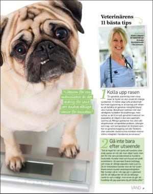 sondag-20180325_000_00_00_037.pdf