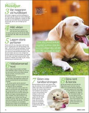 sondag-20180325_000_00_00_038.pdf