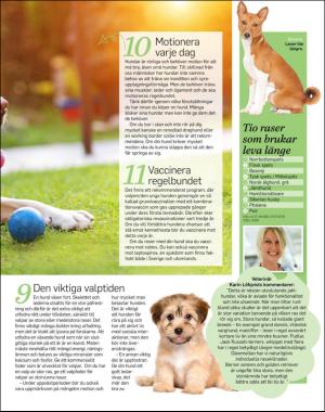 sondag-20180325_000_00_00_039.pdf