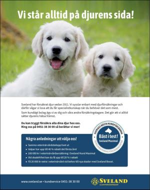 sondag-20180325_000_00_00_083.pdf