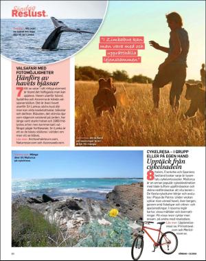 sondag-20180401_000_00_00_080.pdf