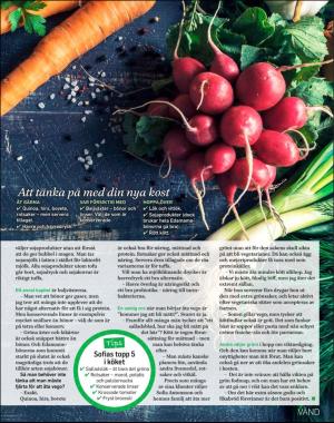 sondag-20180408_000_00_00_033.pdf