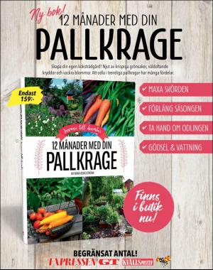 sondag-20180408_000_00_00_099.pdf