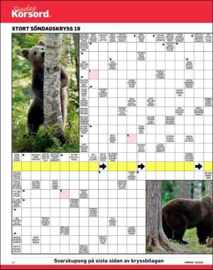 sondag-20180513_000_00_00_050.pdf