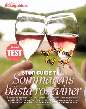 sondag-20180513_000_00_00_062.pdf