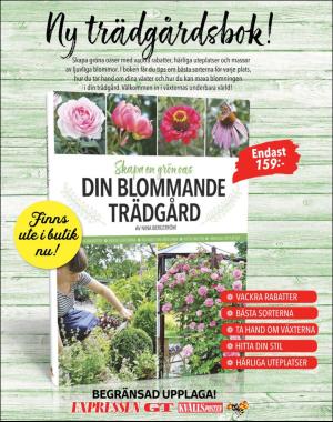 sondag-20180603_000_00_00_028.pdf