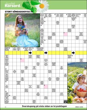 sondag-20180617_000_00_00_050.pdf