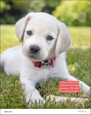 sondag-20180701_000_00_00_069.pdf