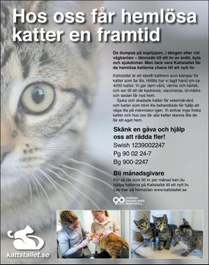 sondag-20180701_000_00_00_073.pdf