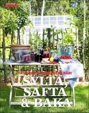 sondag-20180729_000_00_00_076.pdf