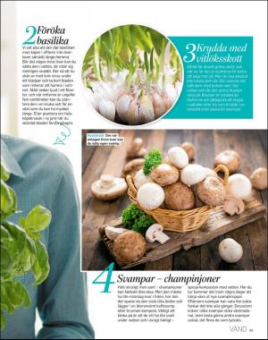 sondag-20180812_000_00_00_069.pdf