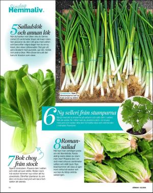 sondag-20180812_000_00_00_070.pdf