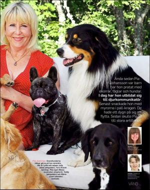 sondag-20180826_000_00_00_013.pdf