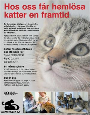 sondag-20180930_000_00_00_002.pdf