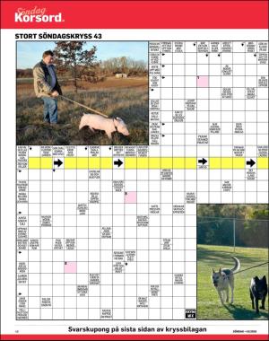 sondag-20181028_000_00_00_048.pdf