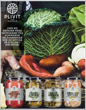 sondag-20181125_000_00_00_035.pdf