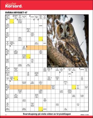 sondag-20181125_000_00_00_046.pdf