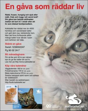 sondag-20181125_000_00_00_099.pdf