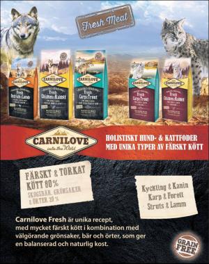 sondag-20181202_000_00_00_022.pdf