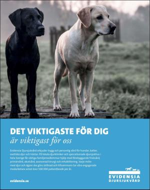 sondag-20181202_000_00_00_061.pdf