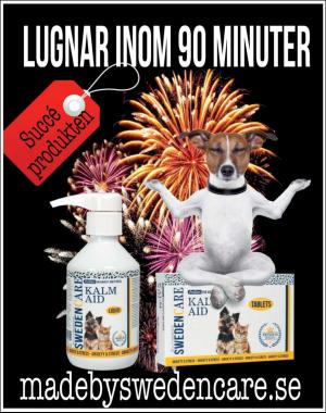 sondag-20181202_000_00_00_065.pdf