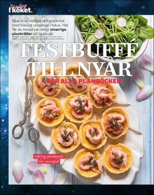 sondag-20181223_000_00_00_070.pdf