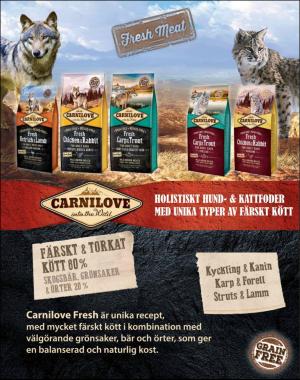 sondag-20181230_000_00_00_005.pdf