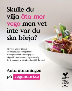 sondag-20181230_000_00_00_009.pdf