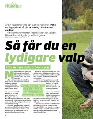 sondag-20181230_000_00_00_062.pdf