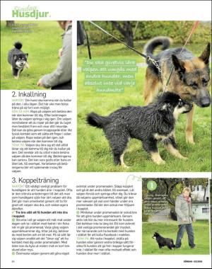 sondag-20181230_000_00_00_064.pdf