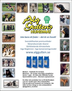 sondag-20181230_000_00_00_068.pdf