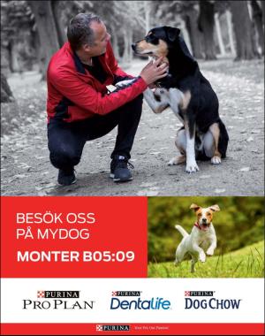 sondag-20181230_000_00_00_070.pdf