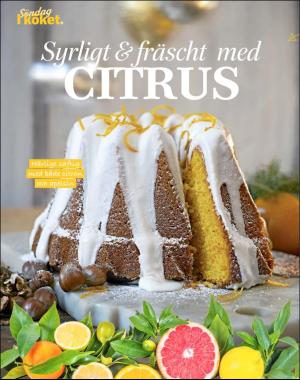 sondag-20190106_000_00_00_070.pdf