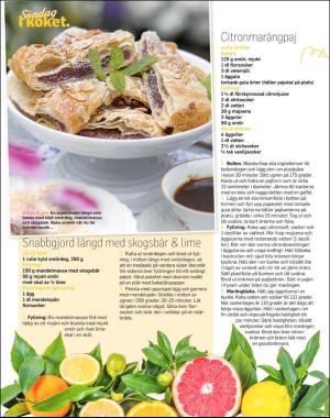 sondag-20190106_000_00_00_072.pdf