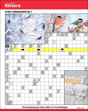 sondag-20190217_000_00_00_050.pdf