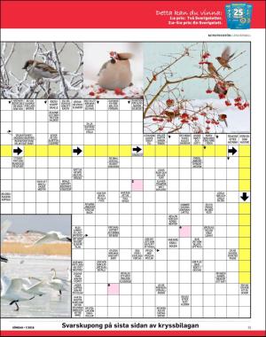 sondag-20190217_000_00_00_051.pdf