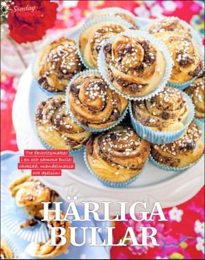 sondag-20190217_000_00_00_078.pdf