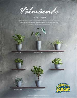 sondag-20190310_000_00_00_083.pdf