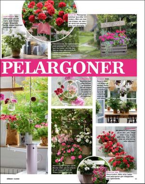 sondag-20190324_000_00_00_065.pdf